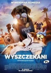 Film: Wyszczekani - dubbing